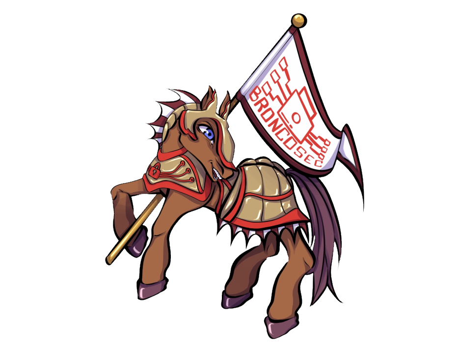 BroncoCTF
